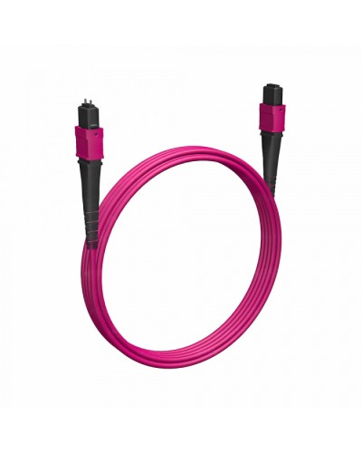 Кабельная сборка MPO(F) -MPO(M)-12 волокон 50/125 OM4, 2 m Cabeus (FOP-50-OM4-12-MPO(F)-12-MPO(M)-B-2m) в Березниках Кабельные сборки (оптические) Pintop.ru