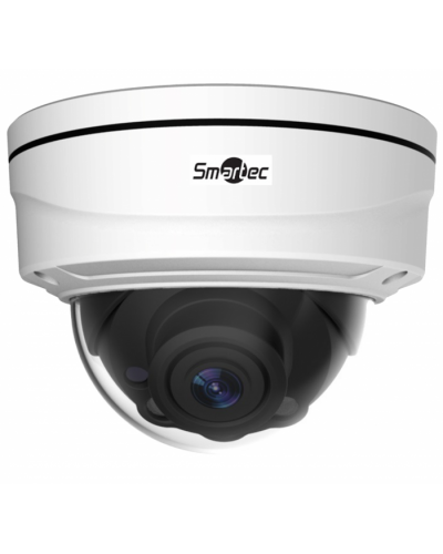 IP-видеокамера Smartec STC-IPM3509A/1 rev.3 Estima в Березниках IP-камеры Pintop.ru