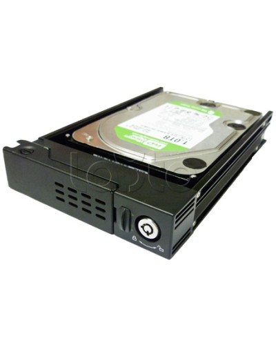 Лоток для HDD 2.5 к EMV40 EverFocus Лоток 2.5 (EMV400) в Березниках Жесткие диски (HDD) Pintop.ru