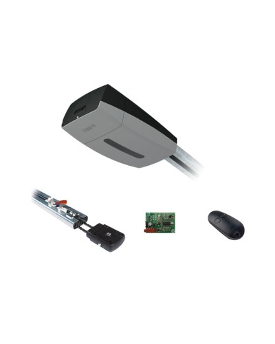 Came V10DMS3.25 KIT (до 3,25 м до 18 м2) - Комплект автоматики для секционных ворот высотой до 2,7 м на основе привода VER10DMS в Березниках Автоматизация ворот Pintop.ru