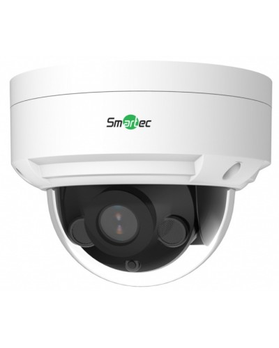 IP-видеокамера Smartec STC-IPM5506A/1 в Березниках IP-камеры Pintop.ru