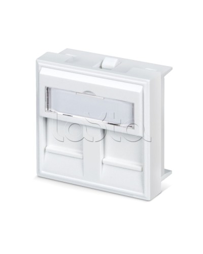 Вставка 45x45 (аналог Mosaic) для 2 модулей формата Keystone Jack Cabeus FP-45-2M в Березниках Модули Keystone Pintop.ru