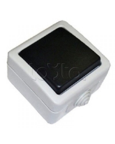 Экопласт EF600SD Выключатель одноклавишый с самовозвратом (кнопка),10A (сер.) в Березниках Розетки компьютерные и телефонные Pintop.ru