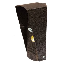 Панель вызывная антивандальная с ИК подсветкой и регулировкой громкости динамика Tantos WALLE+ (медь)