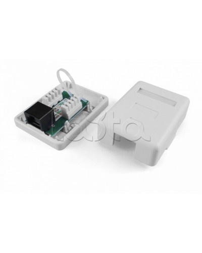 Розетка компьютерная RJ-45(8P8C) Hyperline SB1-2-8P8C-C6-SH-WH в Березниках Розетки компьютерные и телефонные Pintop.ru