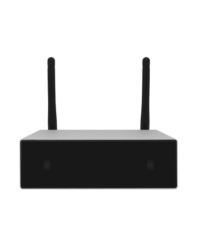 Усилитель потоковой передачи WIFI DSPPA DW-0250 в Березниках Система оповещения и трансляции Dsppa Pintop.ru