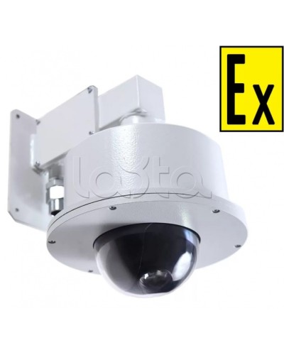 Видеокамера взрывозащищенная Компания СМД Орион МК PTZ- Н-220В в Березниках Взрывозащищенные камеры Pintop.ru