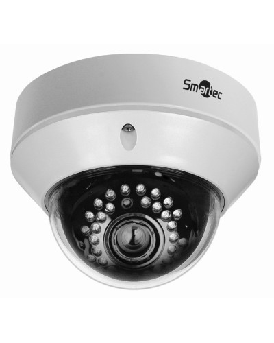 IP-Камера видеонаблюдения купольная Smartec STC-IPM3572A/1 Xaro в Березниках IP-камеры Pintop.ru