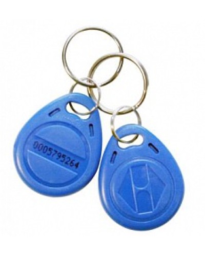 Идентификатор Ростов-Дон Брелок Em-Marin (нанесение логотипа) в Березниках Оптовые идентификаторы Pintop.ru