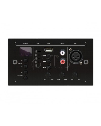 Панель управления выносная DSPPA MAG-808C в Березниках 19 оборудование (рэковое/стоечное) Dsppa Pintop.ru