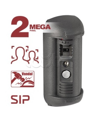 Панель вызывная Beward DSN85017P-FC1 в Березниках Вызывные IP панели Pintop.ru