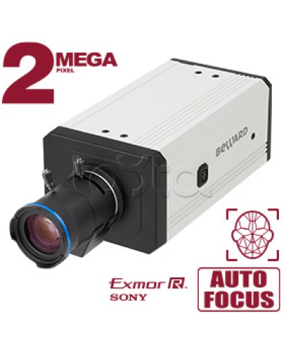 IP-камера видеонаблюдения купольная Beward SV2218M2 в Березниках IP-камеры Pintop.ru