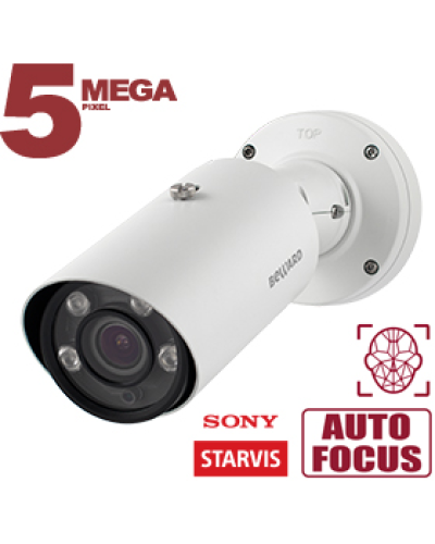 IP-камера видеонаблюдения в стандартном исполнении Beward SV3218RBZ2 в Березниках IP-камеры Pintop.ru