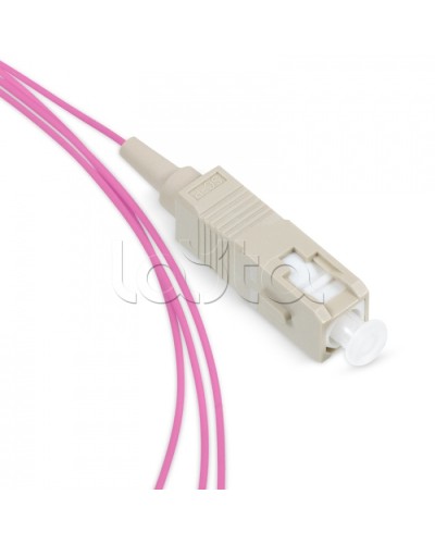 Пигтейл SC 50/125 mm (OM4) 1.5м LSZH Cabeus PT-SC-50-OM4 в Березниках Пигтейлы Pintop.ru