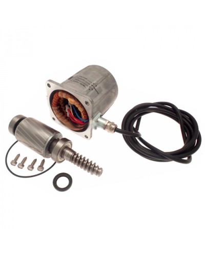 Электродвигатель FROG-A в сборе Came 119RIA061 в Березниках Запчасти для шлагбаумов и автоматики Pintop.ru