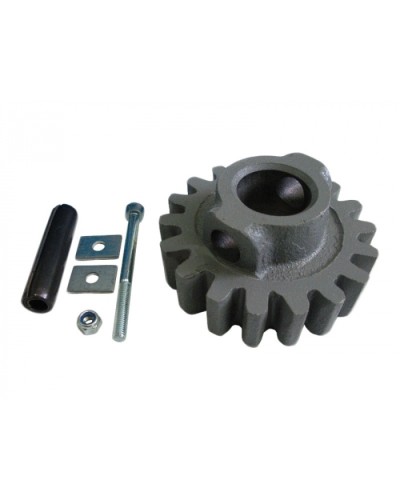 Шестерня ведущая ВК Came 119RIBK002 в Березниках Запчасти для шлагбаумов и автоматики Pintop.ru