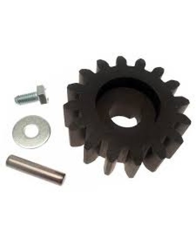 Шестерня для цепной передачи Came 119RIBK036 в Березниках Запчасти для шлагбаумов и автоматики Pintop.ru