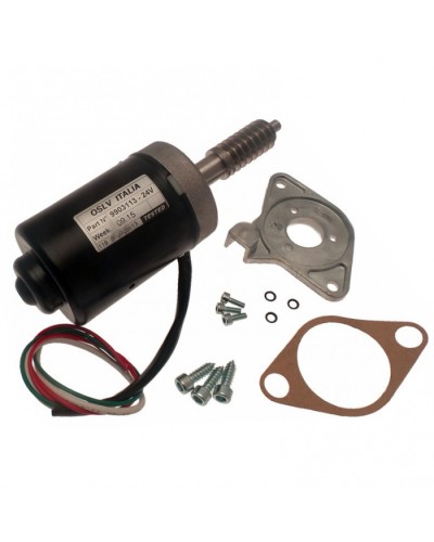 Электродвигатель BX-243 в сборе Came 119RIBX046 в Березниках Запчасти для шлагбаумов и автоматики Pintop.ru