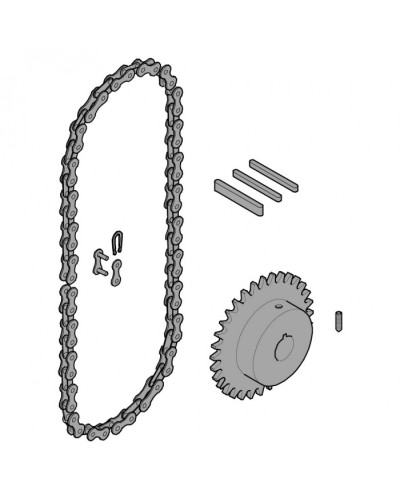 Передающая система (цепь и звездочки) C005 Came 119RICX016 в Березниках Запчасти для шлагбаумов и автоматики Pintop.ru