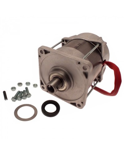 Электродвигатель FERNI Came 119RID087 в Березниках Запчасти для шлагбаумов и автоматики Pintop.ru