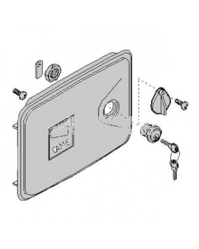 Дверца замка разблокировки FERNI Came 119RID136 в Березниках Запчасти для шлагбаумов и автоматики Pintop.ru