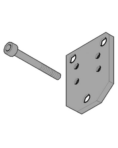 Пластина монтажная FLEX Came 119RID143 в Березниках Запчасти для шлагбаумов и автоматики Pintop.ru