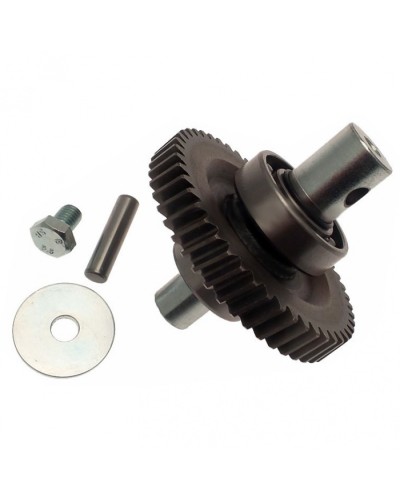 Шестерня редуктора FAST в сборе Came 119RID229 в Березниках Запчасти для шлагбаумов и автоматики Pintop.ru