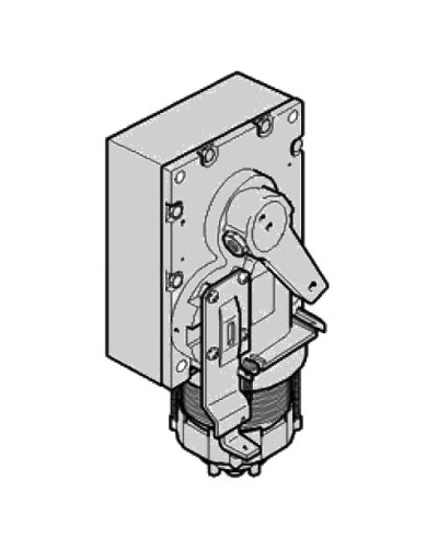 Моторедуктор G2500 Came 119RIG201 в Березниках Запчасти для шлагбаумов и автоматики Pintop.ru
