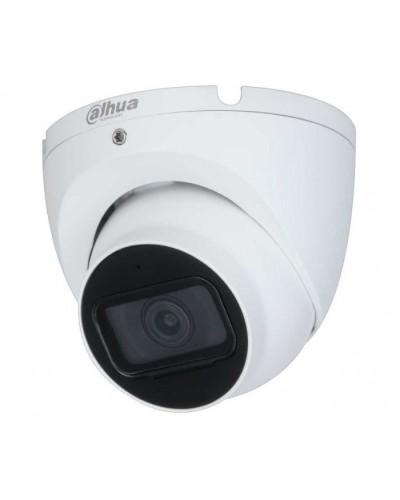 IP-камера видеонаблюдения уличная купольная Dahua DH-IPC-HDW2230TP-AS-0280B-S2 в Березниках IP-камеры Pintop.ru