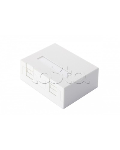 Настенная коробка 2-портовая со шторками, белый Eurolan (12B-04-02WT-2) в Березниках Розетки компьютерные и телефонные Pintop.ru