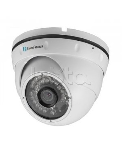 IP-камера видеонаблюдения купольная EverFocus ACE-IAV30 в Березниках IP-камеры Pintop.ru