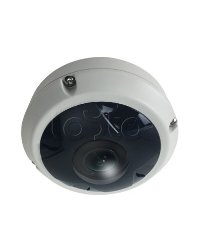 IP-камера видеонаблюдения купольная EverFocus ACE-KU89F в Березниках IP-камеры Pintop.ru