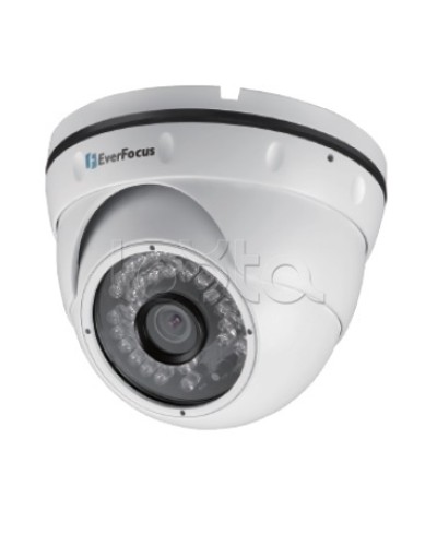 IP-камера видеонаблюдения уличная купольная EverFocus EBN-268 в Березниках IP-камеры Pintop.ru