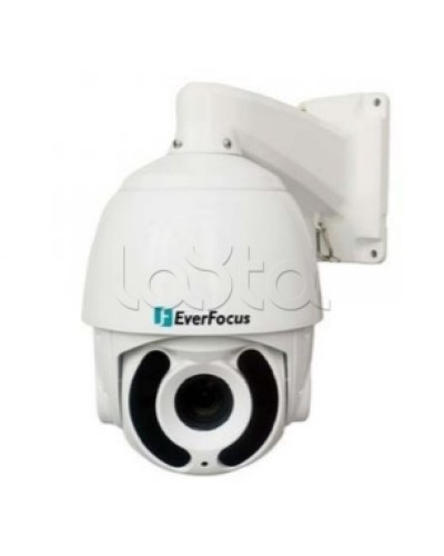 Камера видеонаблюдения поворотная купольная EverFocus EPA-6236 в Березниках Аналоговые камеры Pintop.ru