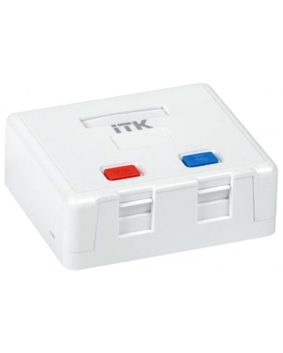 Корпус настенной розетки для 2 мод. Keystone Jack ITK (CS2-022) в Березниках Коннекторы Pintop.ru