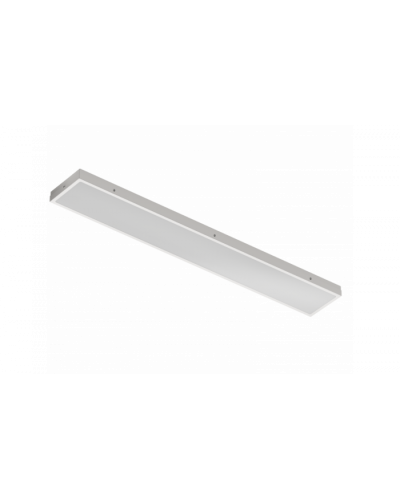 Светильник INNOLUX 98 841 ДВО-21-O-30-4K-IP54-SNR в Березниках Светильники Pintop.ru