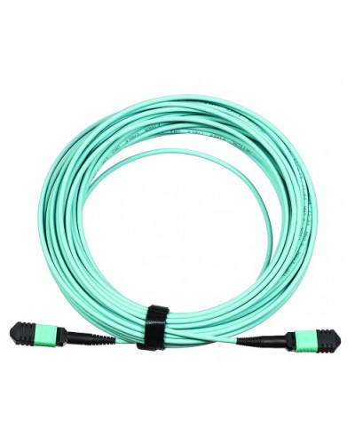 Сборка кабельная LANMASTER (LAN-12M-12M/OM3B-2.0) в Березниках Коннекторы Pintop.ru