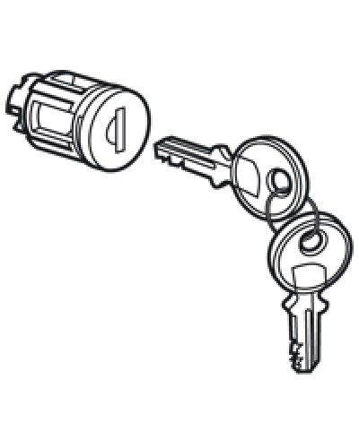 Цилиндр встроенный под ключ №405 Legrand 020291 в Березниках Дополнительное оборудование для сетей Pintop.ru