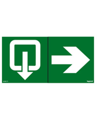Пиктограмма 100х200 эвакуация стрелка Legrand 661671 в Березниках Дополнительное оборудование для ОПС Pintop.ru