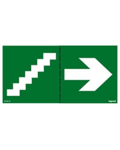 Пиктограмма 100х200 лестница стрелка Legrand 661672 в Березниках Дополнительное оборудование для ОПС Pintop.ru