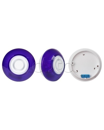 Оповещатель комбинированный SLT Марс 12-КП (строб, син) в Березниках Оповещатели Pintop.ru