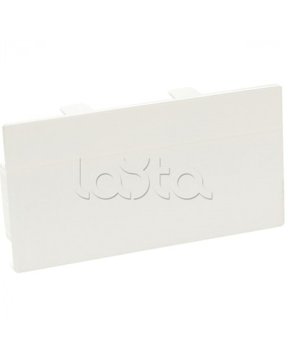 Заглушка торцевая для кабельного канала 100х50 SPL 100002S в Березниках Аксессуары для кабель-канала Pintop.ru