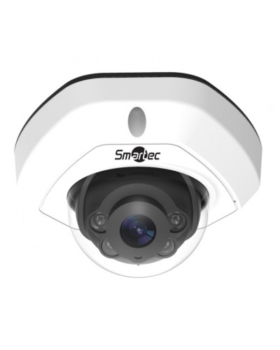 IP-видеокамера Smartec STC-IPM3407A/4 rev.3 Estima в Березниках IP-камеры Pintop.ru