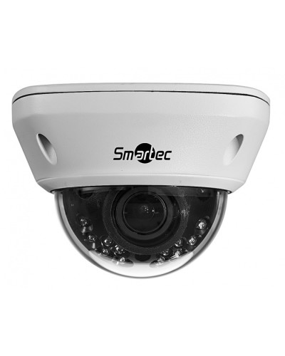 IP-камера видеонаблюдения купольная Smartec STC-IPM5591/1 в Березниках IP-камеры Pintop.ru