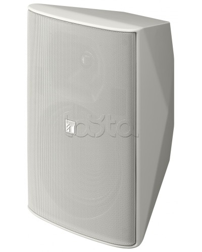 Громкоговоритель 2 полосный TOA F-2000 WT в Березниках Системы оповещения и трансляции TOA Pintop.ru