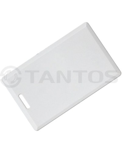 Карта толстая формата Temic Tantos Temic (толстая) TS в Березниках Оптовые идентификаторы Pintop.ru