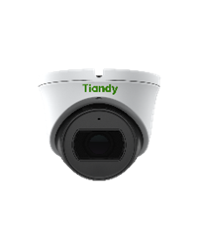 Уличная купольная IP-камера Tiandy TC-C35SS Spec:I3/A/E/Y/M/C/H/2.7-13.5mm/V4.0 в Березниках IP-камеры Pintop.ru