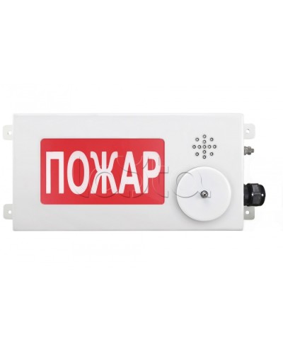 Табло светозвуковое взрывозащищенное Спектрон ТСЗВ-Exi-М-Прометей-МИНИ 12-36В в Березниках Оповещатели Ex Pintop.ru