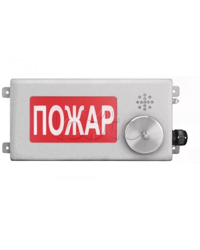 Табло светозвуковое взрывозащищенное Спектрон ТСЗВ-Exi-Н-Прометей-МИНИ 12-36В в Березниках Оповещатели Ex Pintop.ru