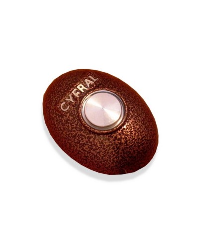 Кнопка открывания двери Цифрал КОДсП-4 в Березниках Многоабонентные устройства Pintop.ru